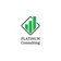 Платинум Консалтинг