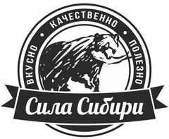 Ооо сила. Сила Сибири логотип. Сила Сибири наклейка. Газпром сила Сибири логотип. Логотип наклейка сила Сибири.