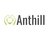 Anthill Studio